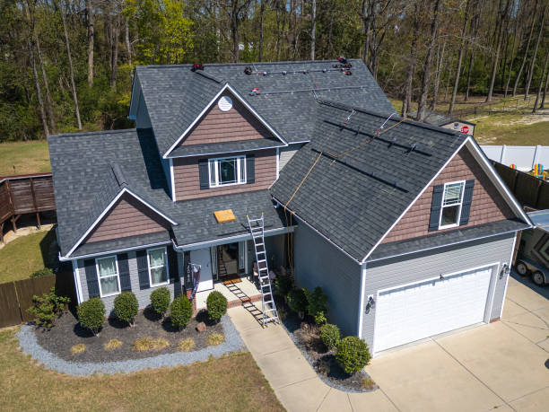 Best Roof Moss and Algae Removal  in Lansdowne, VA